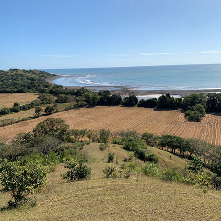 5 Razones para Escoger Playa Guanico como tu Próxima Aventura en Panamá