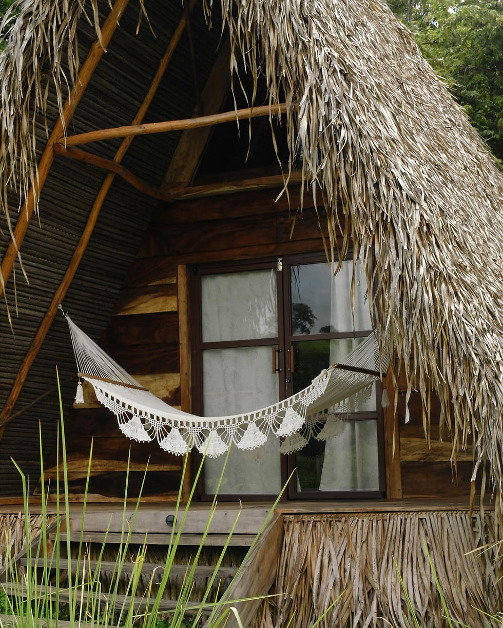 tipi of palmtree leaf at playa guanico la chantin