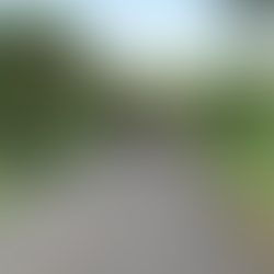 Where to Stay in Panama for a Month: A Quiet Beach Life in Guanico