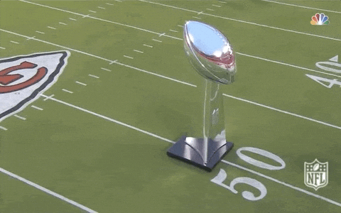 Regular Season Football GIF by NFL.gif
