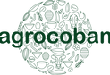 Logotipo color-10.png