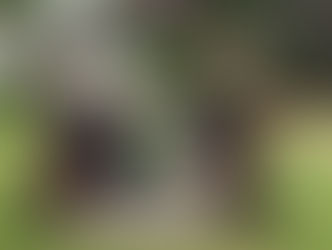 Wicklow Ireland Equitour