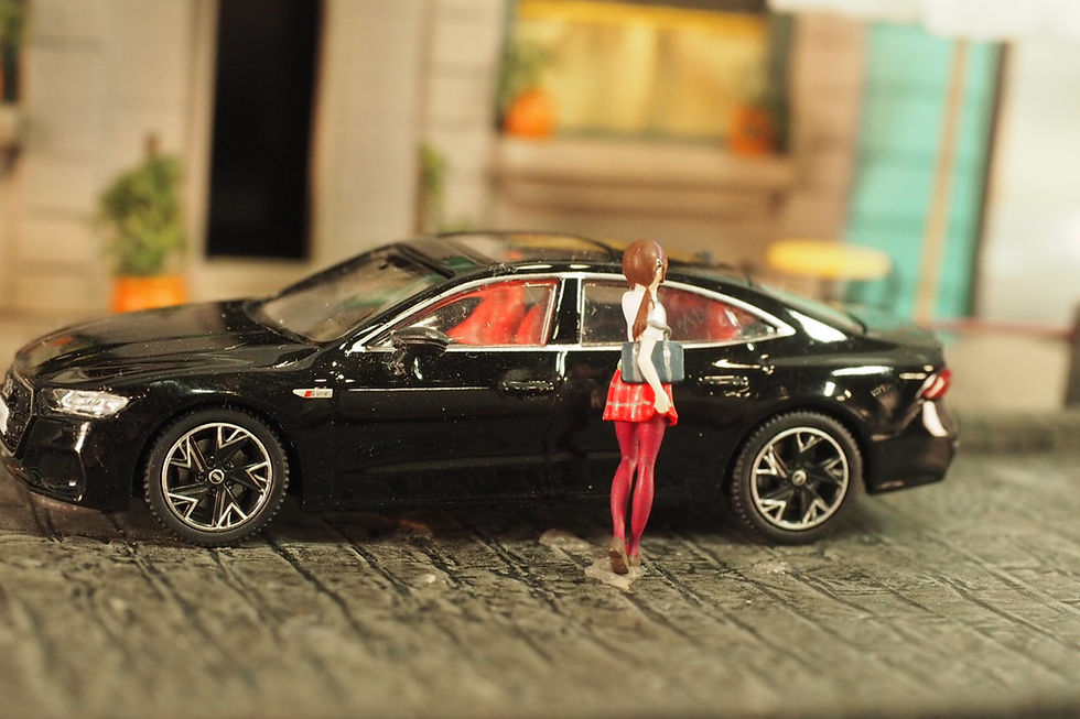 縮圖：DWS+  1/64 Figures EVA  1pcs set LTD ED DWS+64150