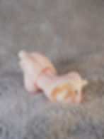 Thumbnail: PreOrder Snail Shell 1/12  Angela No Wing Hold Breasts and  Body 2pc set