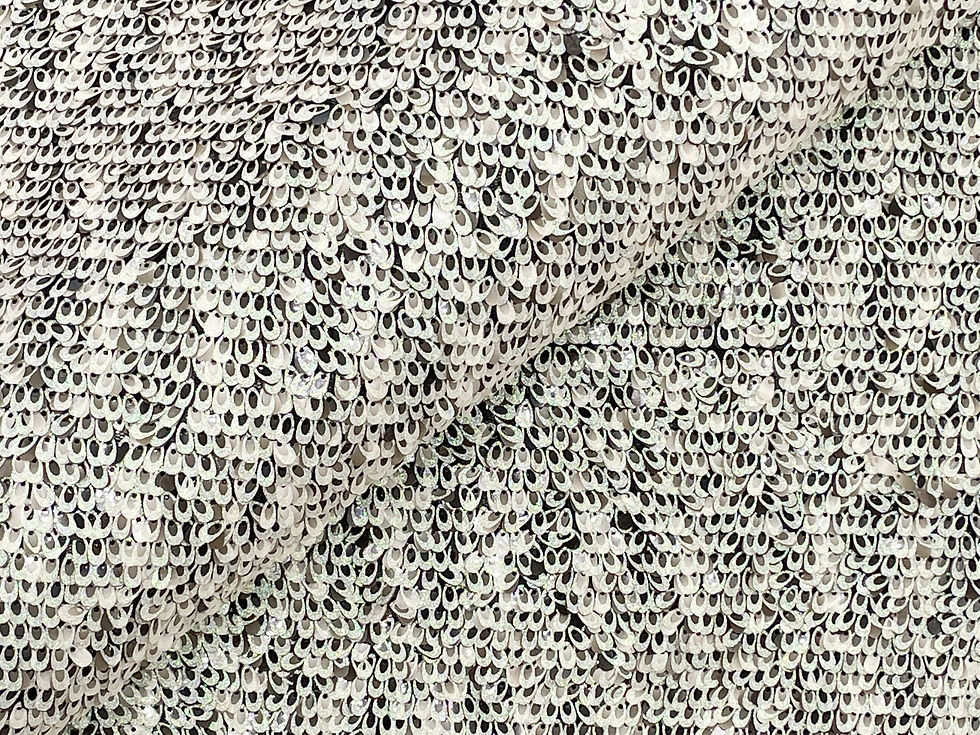 Sequin Embroidery (HY-5004)