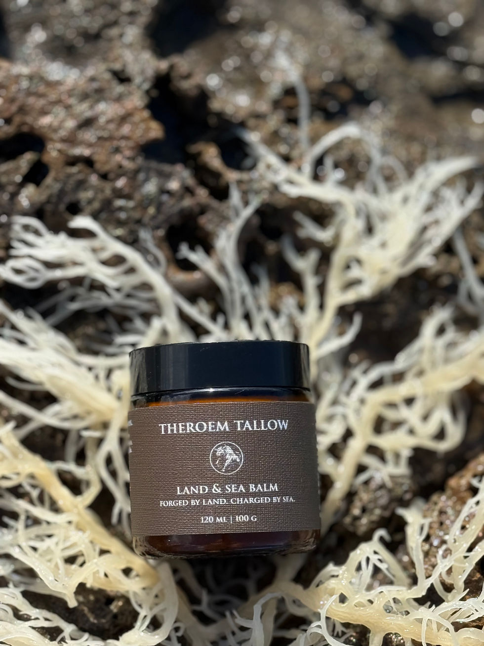 Close-up view of a jar of tallow balm with a wooden lid