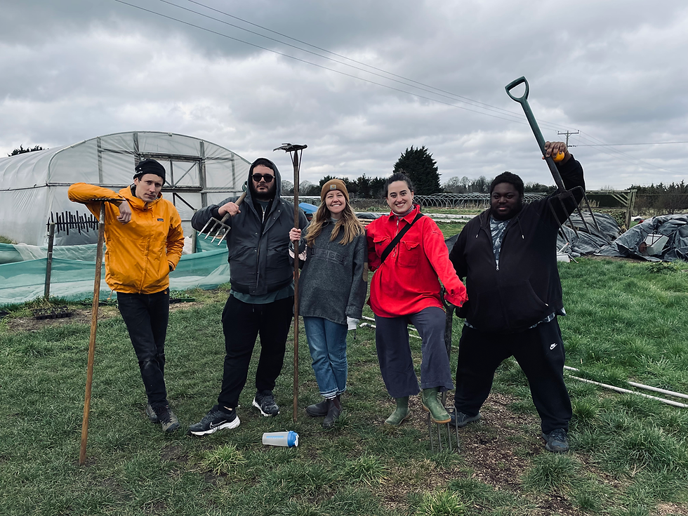 Team at Sutton Community Farm