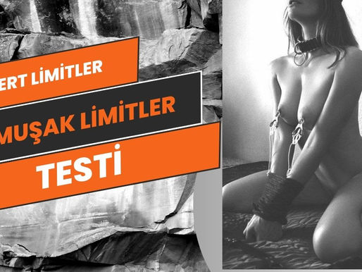 Sert Limitler ve Yumuşak Limitler Testi