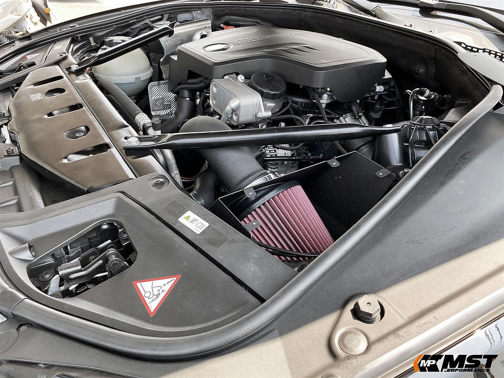 Thumbnail: MST air intake for 2.0L N20 F10 BMW