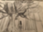 Jay-Lee Shih Tree sketch.jpg