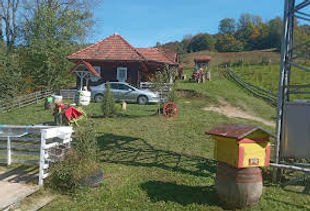 IMG-20221007-WA0013.jpeg