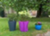 IMG_6896 (1).JPEG