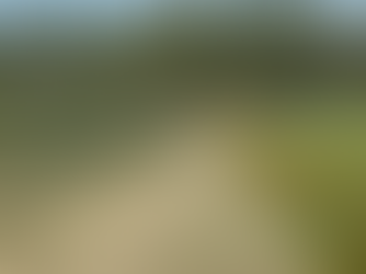 Porquerolles : 10% des eaux usées réutilisées pour les vergers, depuis 40 ans