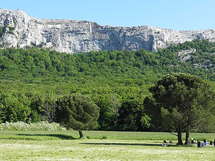 PACA : la forêt résiste au réchauffement et s'étend