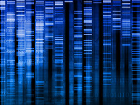 Anavex Life Sciences Receives Approval from Health Canada & UK MHRA Expanding Phase 2b/3 ANAVEX®2-73