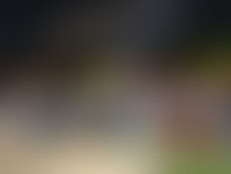 Tussam acelera el transporte público en Sevilla con nuevas líneas exprés