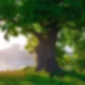 oak tree.webp