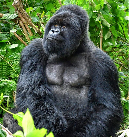 Screenshot 2026-02-10 at 14.03.54.png