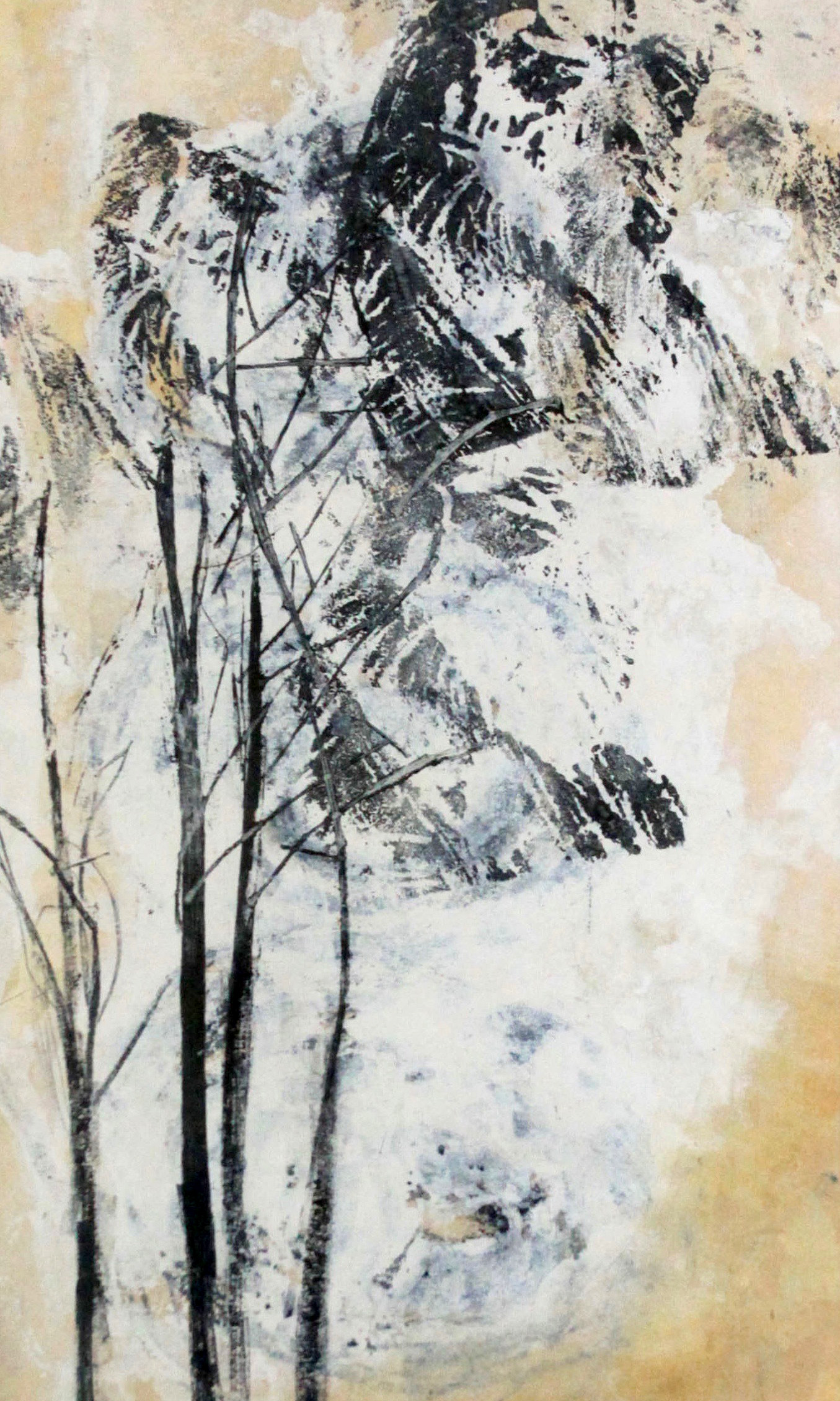 MARÍA_JOSE_ANTELO_ÁRBOLES_2