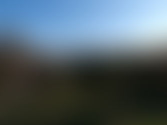 Paradise Within a Concrete Jungle: Holmby Park