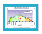 Ciclo de Vida