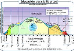 Modelo Educativo.png