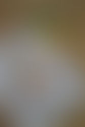 Ravioli di San Giuseppe