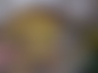 Quiche Con Cavolo Romanesco e Olive Taggiasche