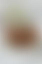 Bundt Cake agli albumi e cioccolato