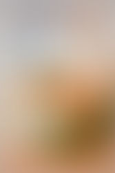 Pastiera napoletana e fiori di arancio