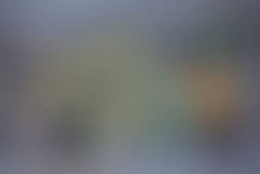 Pan Fiorellini di Carmen Sita