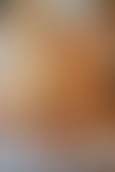 Pane in cassetta integrale alle nocciole