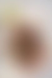 Torta fichi & cioccolato