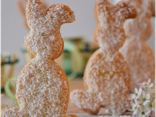 Bunny Cookies chocolate and coconut