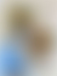 Bocconcini di pollo fritto