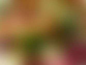 Fennel Chopped Salad