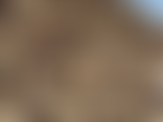 Sweet and Salty Granola