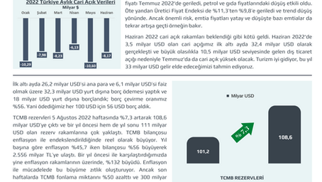 15 Ağustos 2022 Para ve Bankacılık Verileri