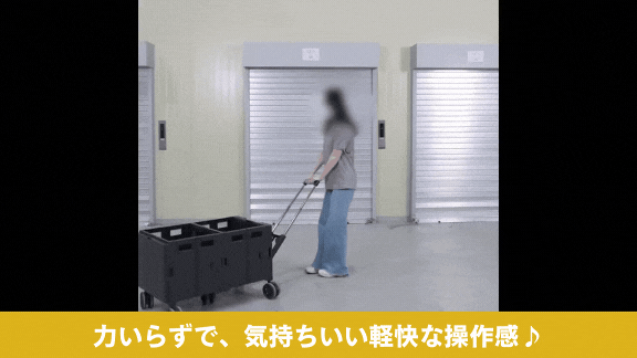砂浜での走行TitanCart.gif