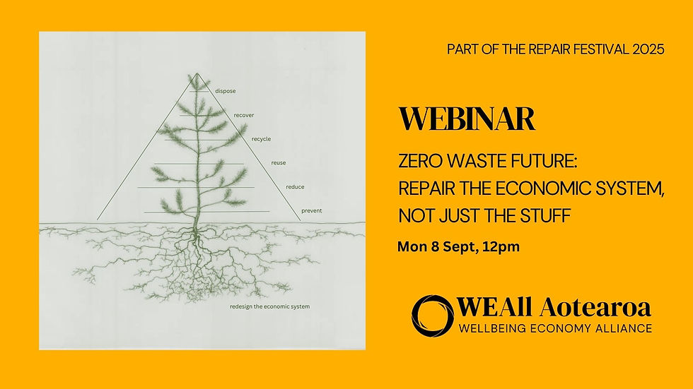 Zero Waste Future: Repair The Economic System, Not Just The Stuff