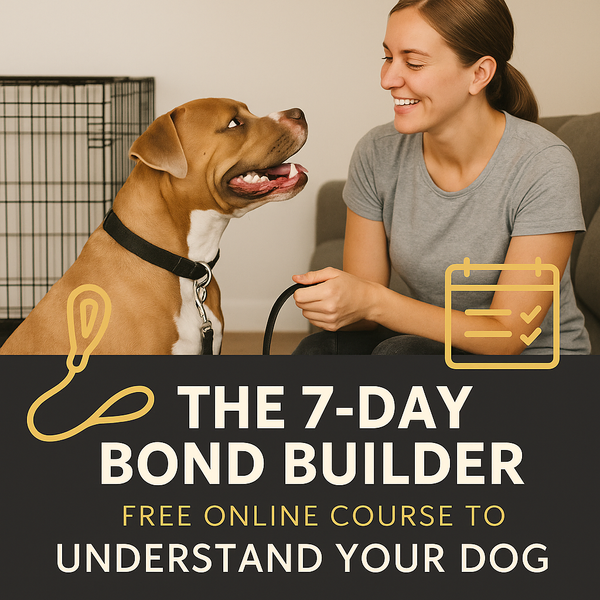 Dog training at your pace.