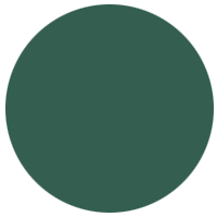 cop-green-light-sample.gif