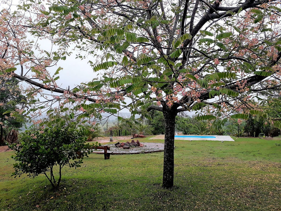 Gramado