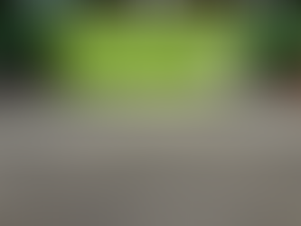 直売所8月12日(火)