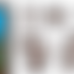 本年もよろしくお願いいたします。🎍🐎