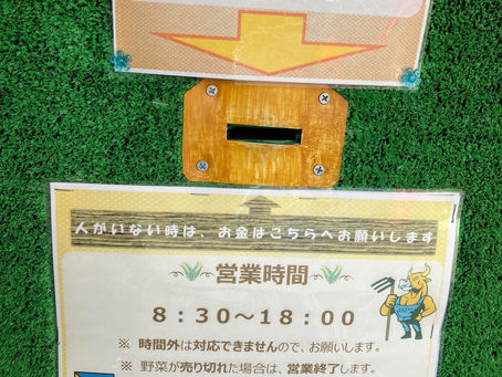 本日の直売所7月28日(金)