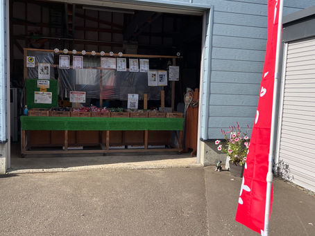 本日の直売所9月2日(金)