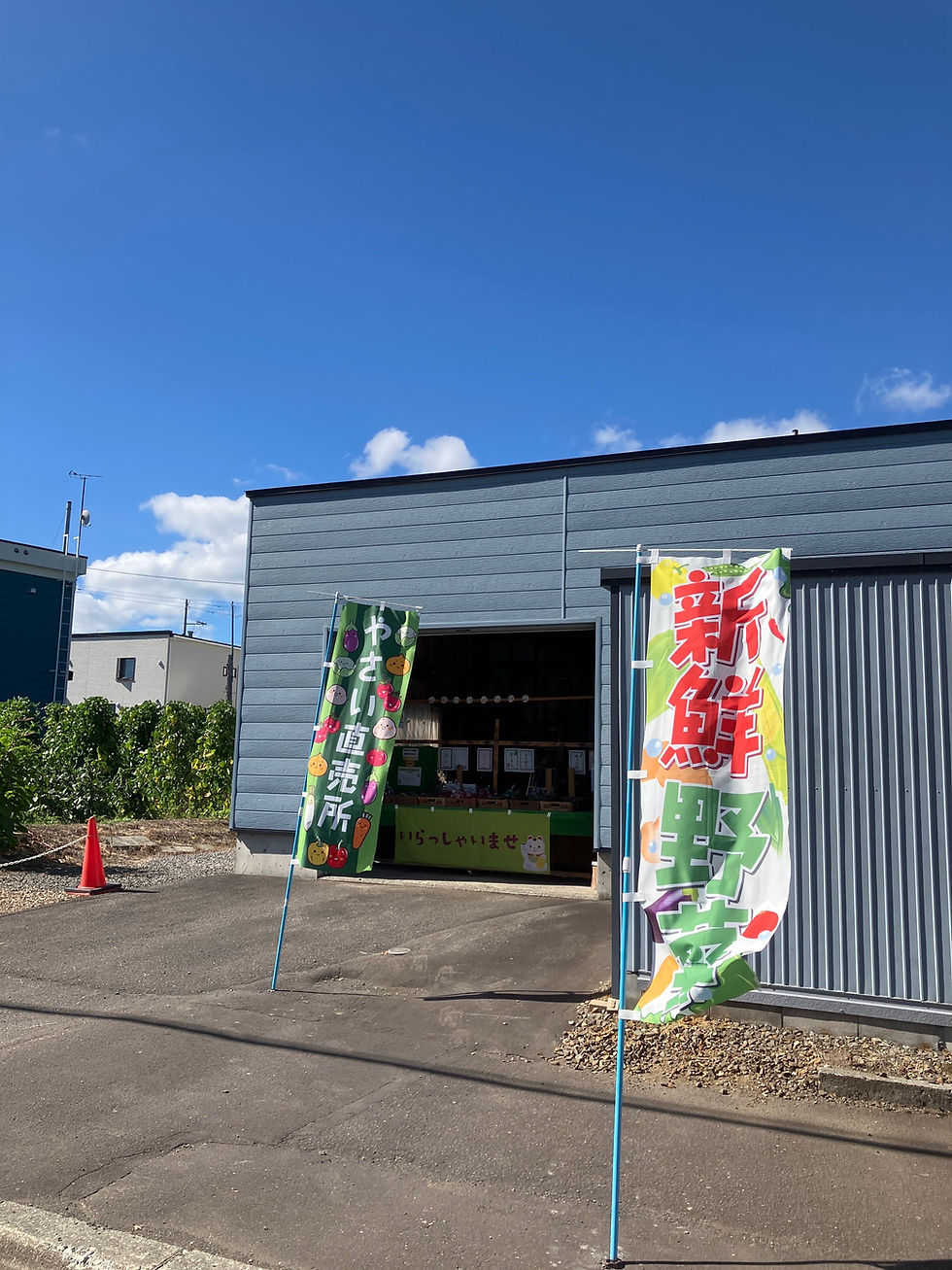 本日の直売所8月12日(水)