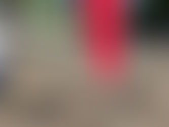 本日の直売所8月26日(土)