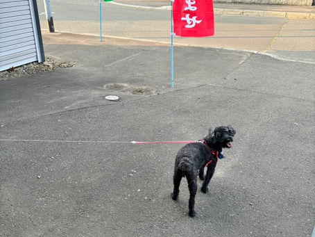 本日の直売所7月18日(木)